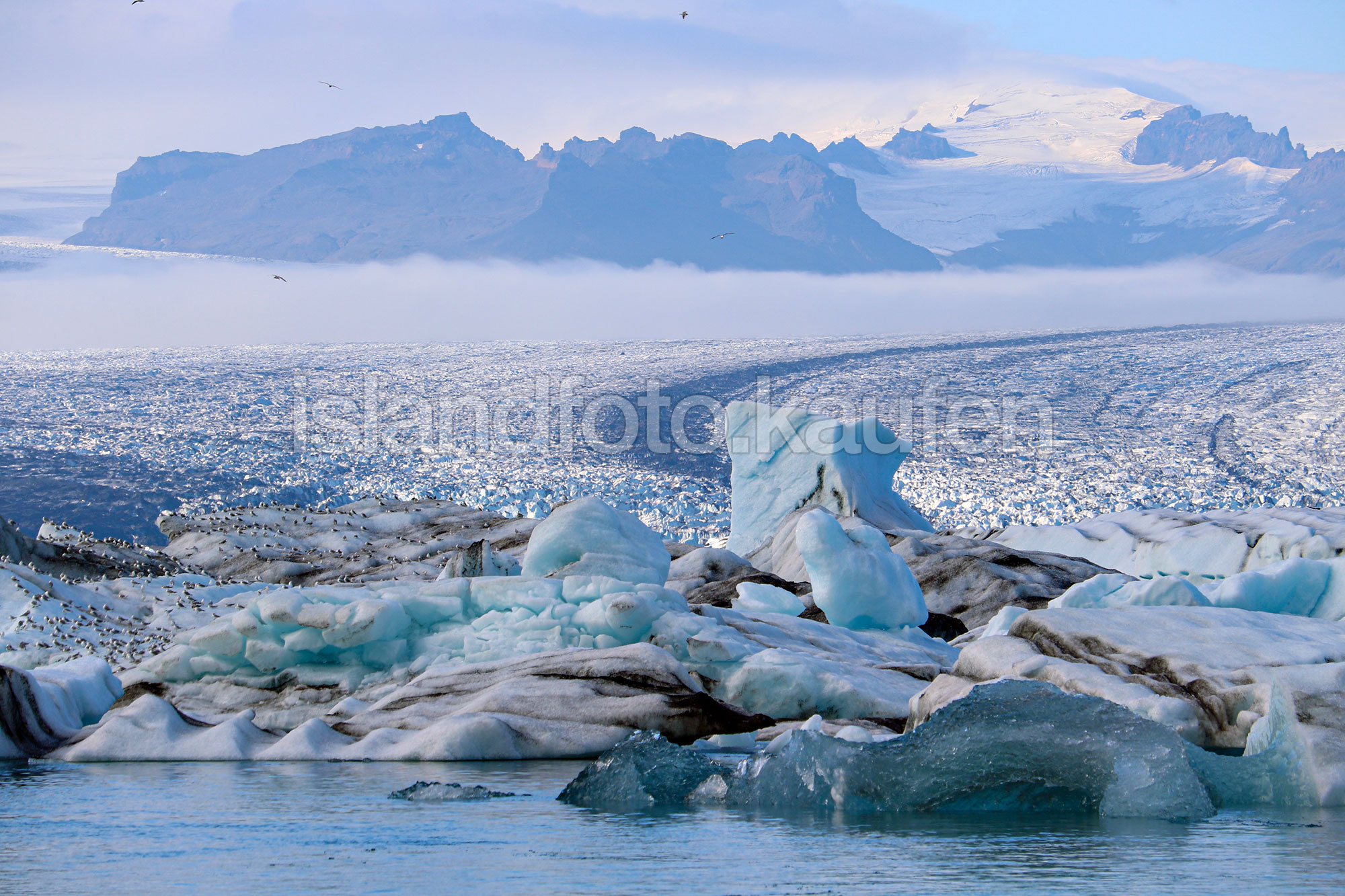 Blick auf den größten Gletscher Islands